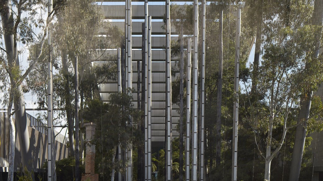 Forest Gallery at Melbourne Museum