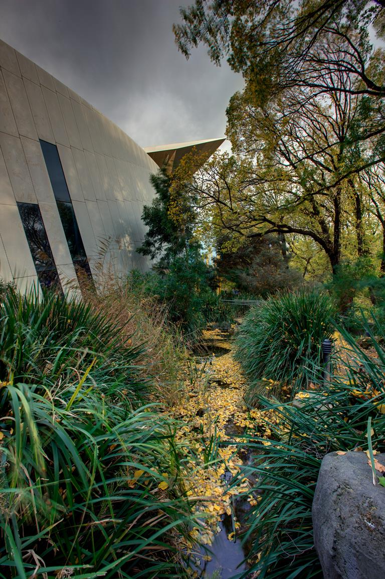 Milarri Garden: Melbourne Museum